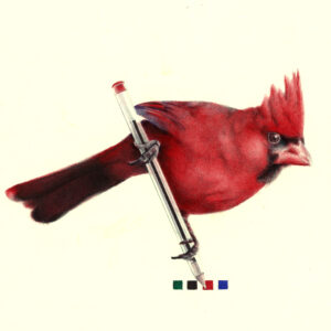 oiseau aux stylos Bic, dessin de Céline Glad