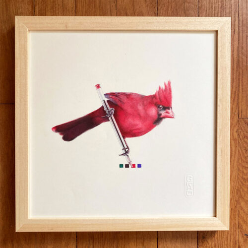 cardinal-cadre