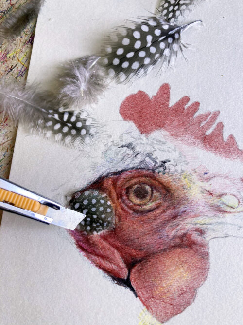 dessin-stylo-poule-celineglad