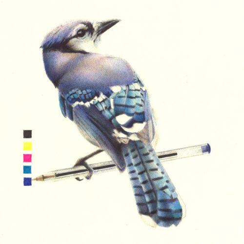 geaibleu