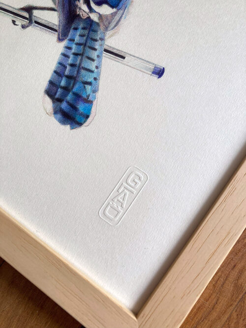 geaibleu-GLAD