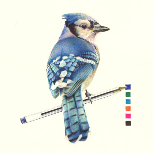 geaibleucanada