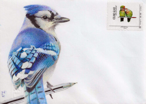 grai-bleu-bic-4couleurs