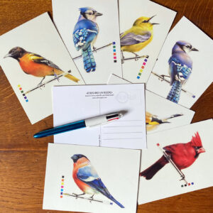 8 oiseaux dessinés au stylo Bic