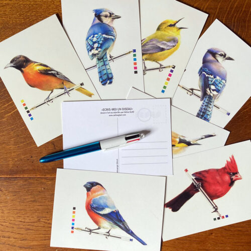 lot-de-8-cartes-stylo