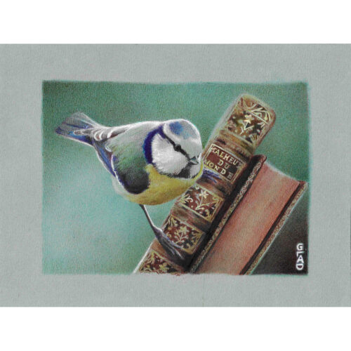 mesange-au-stylo-Bic