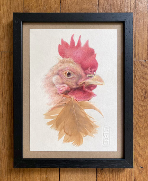 poule-rousse-dessin-stylo
