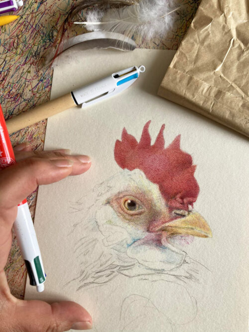 poule-stylo-et-plumes-veritables