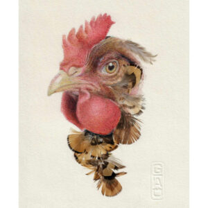 portrait de poule au stylo et plumes naturelles de faisan