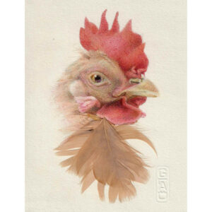 technique mixte, plumes naturelles et stylo Bic