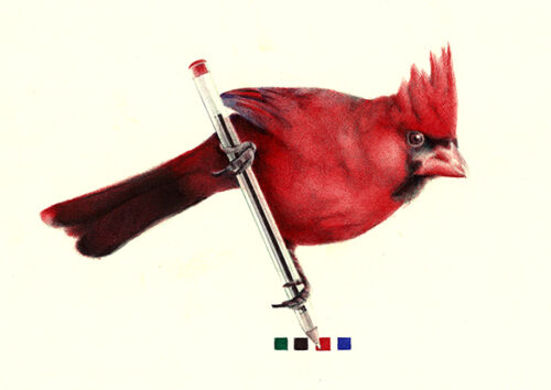 pt-cardinal