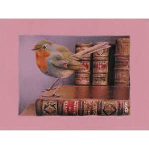 oiseau aux stylos Bic