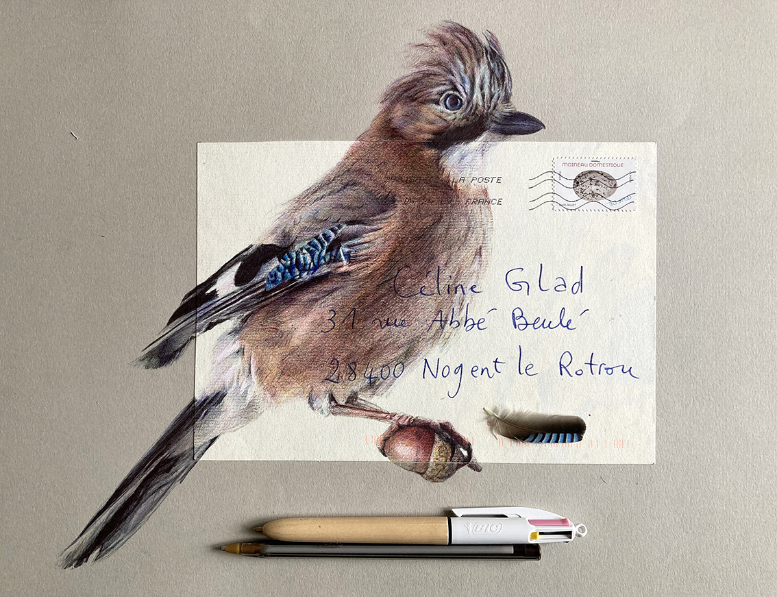 ecris moi un oiseau